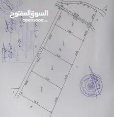  1 أراضي مميزة مفروزة 4 دونمات للبيع في محافطة مادبا/الهلالية بالقرب من الجامعة الأمريكية بمقابل القطعة