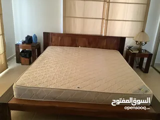  27 مزرعة في البحر الميت/ الشونه الجنوبية / السويمه / حوض جلد مميزة للبيع للجادين فقط