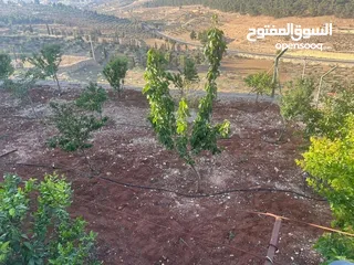  3 للبيع بيت ريفي تشطيب سوبر ديلوكس منطقة دحل (المدور) شرق جرش