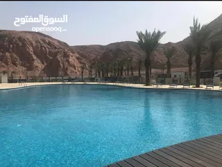  9 Fully furnished studio for rent in Raha village Aqaba