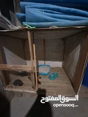  16 قفص مستعمل يدوي متر ونصف في 80 سم.................................................................