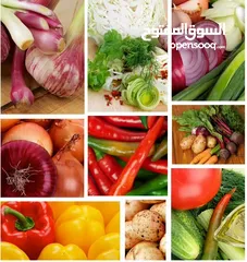  2 خط غسيل الخضروات والفواكه - فل اوتوماتيك