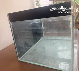  3 Turtles with Aquarium