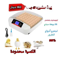  3 الحق العرض أحدث الفقاسات اتومتيك بالكامل ممتازة جدا و اوتوماتيك بالكامل ريح راسك 60 دينار