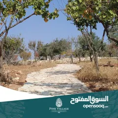  2 أرض سكنية  للبيع في ناعور "أبو الغزلان  " من المالك دون وساطة
