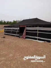  5 خيم شعر تراثية تفصيل سعودي