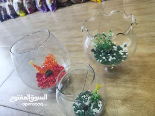  6 باولات سمك ، للمكاتب ، غرف النوم ، الصالون استقبال الضيوف ، رونق خاص للجمال و الاناقة