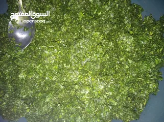  9 طعام جاهز بيتي