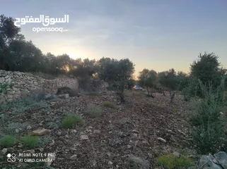  8 ارض للبيع بعملة الشيكل فى عصيرة الشمالية
