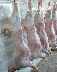  1 خدمة ذبح بعمان كافة ايام العيد