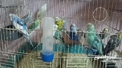 2 اقراء الوصف وصلي على النبي