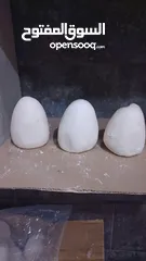  8 جميد بلدي جميد كركي سمنه بلدي جبنة غنم