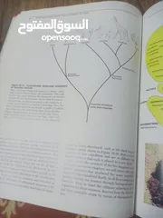  19 كتاب بعنوان biology