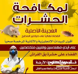  2 الشركة الدولية لمكافحة الحشرات بجميع مناطق الكويت