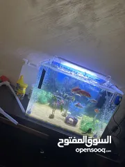  9 حوض سمك  شبه جديد يحتوي على:  8 اسماك  معقمات ماء  اكل سمك  الزينة كاملة  مضخة اوكسجين  فلتر 6 واط