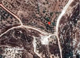 3 ارض للبيع في جبل قوصين