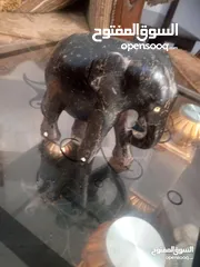  20 مناظر حيوانات للبيع بسعر مغري