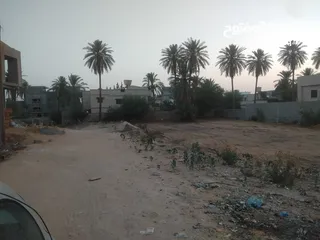  3 أرض لبيع عرادة الطريق الرابط بين جامع الخباشة والسربع400 متر