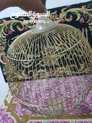  1 قفص عصافير