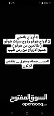  1 للبيع فروخ بادجي عس طفرات وألوان مميزه  . فروخ كوكتيل أحجام وألوان طيبه