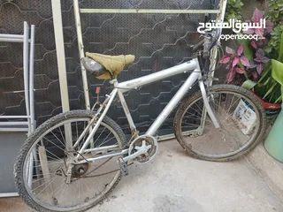  1 بسكليت جنط 24