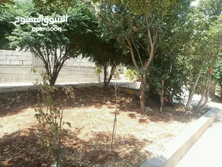  16 منزل دوبلكس للبيع مع مزرعه  شجر مزروع مثمرعدد 25 و شجر زينه 25 كرفان 70م يحتوي على مطبخ حمام وصاله