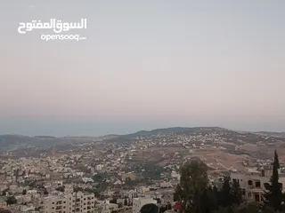  25 بيت ارضي للبيع في جرش  الجبل الأخضر مقابل مدرسة الملك عبدالله الثاني للتميز اسكان البركة 26