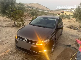  13 بولو جير عادي الحبة النادرة باللون و الجمال و الفحص