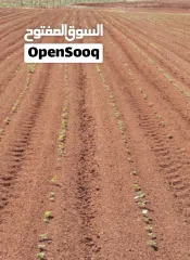  20 نِيغده – بور (Niğde – Bor)  من أجمل وأخصب المناطق الزراعية في تركيا  للبيع 10 ألف دونم ارض زراعية