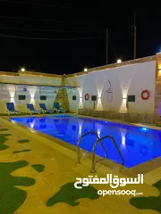  2 شليهت لليجار اليومي
