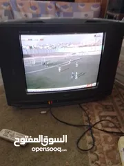  1 تلفزيون دا و 21 بوسة