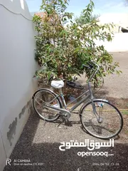  2 درجة هواية