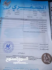  6 شفروليه كروز 2013 للبيع  المستعجل استخدام شخصي وقابل للتفاوض