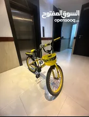  1 Bicycle for kids from age 10 to 12 years old
