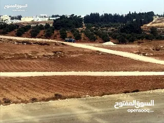  5 أرض 771م للبيع بالأقساط ضمن مشروع أراضي الحمرا عمان ناعور ام القطين