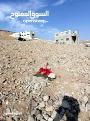  2 قطعة ارض للبيع في البيضاء حوض الحميدين