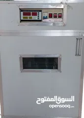  1 فقاسة 264 بيضة