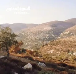  4 شو بتستنا بدك ارض بسعر مغري وكوشان طابو مستقل في اجمل اراضي نصف جبيل متوفر كافة الخدمات منطقة هادئة