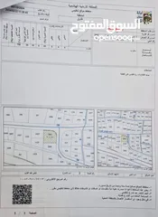  2 ارض مميزه للبيع في طبربور