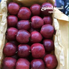  3 Sending first class fruit from Iran