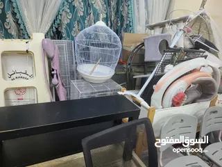  6 بيع الأثاث ومستلزمات الأطفال وإكسسوارات الحيوانات الأليفة وأقفاص الطيور  birds cages baby   items