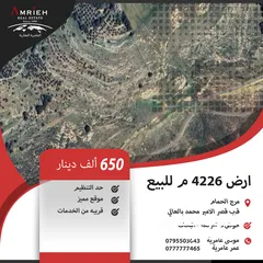  1 ارض سكنية للبيع في مرج الحمام/ قرب قصر الامير محمد بالعالي