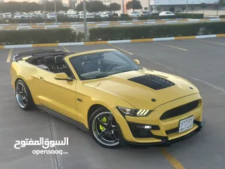  11 Mustang 2017