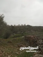  10 Land for Sale – Marda, Salfit (13.8 Donums)  أرض للبيع – مردة، سلفيت (13.8 دونم)