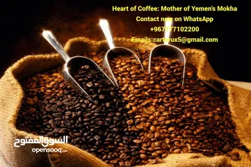  6 Yemen is one of the most renowned countries in the world for coffee cultivation, distinguished by it