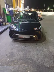  1 بي واي دي سيجال