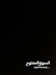  1 شقه مفروشه للأجار