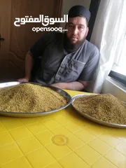  4 غذاء ملكات حبوب لقاح عسل طبيعي