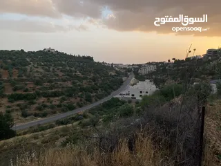  2 للبيع: أرض بإطلالة خلابة وموقع هادئ في دابوق من المالك مباشرة فيها منسوب