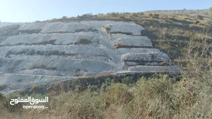  2 ارض للبيع بلعا